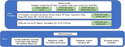People living with HIV display increased anti-apolipoprotein A1 auto-antibodies, inflammation, and kynurenine metabolites: a case–control study